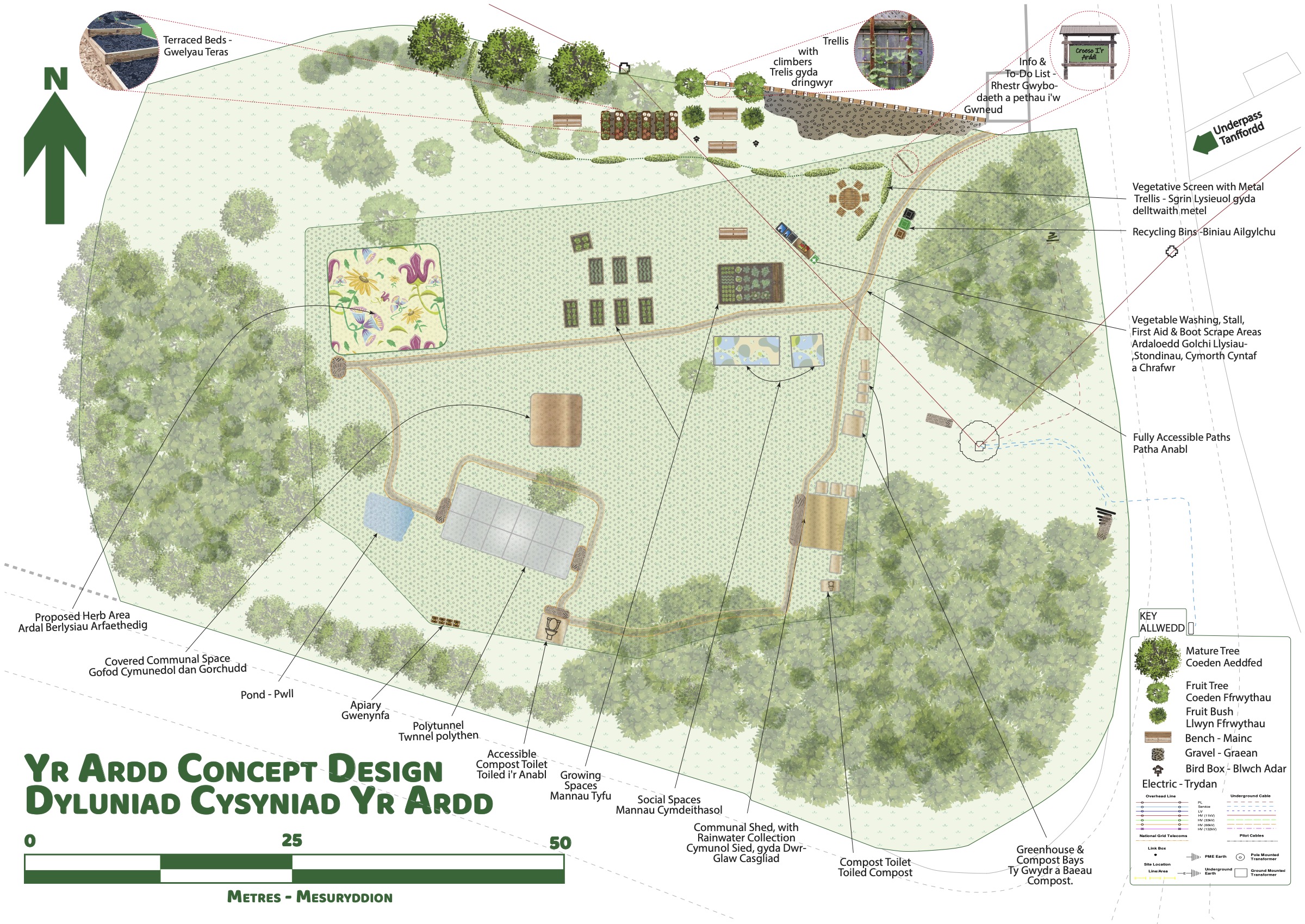 Concept Plan of Yr Ardd showing paths and planting.
